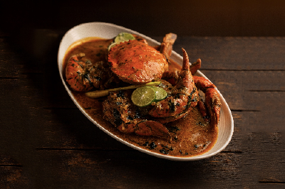 Free Template by colorlib.com